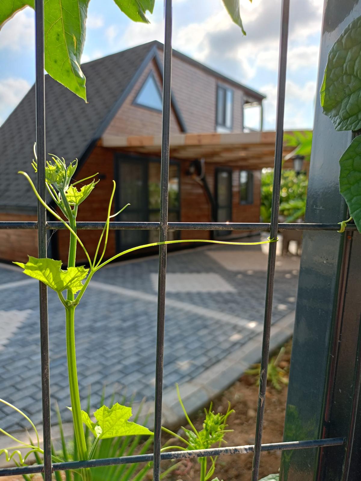 Luffa Bungalow